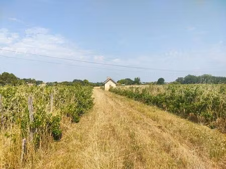 terrain agricole 3.13 hectares