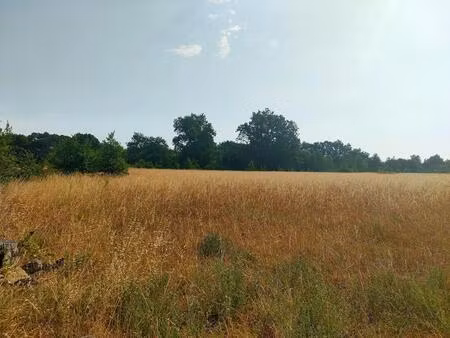 terrain agricole 5.60 hectares