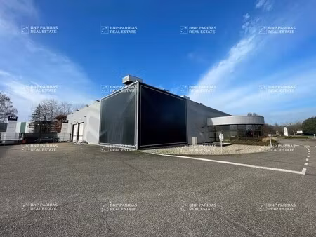 location local d’activités la wantzenau 67610 3385m²