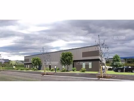 location local d’activités wittelsheim 68310 245m² à 2516m²