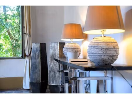 propriété de ville xixe de 217 m² avec jardin