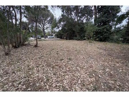 annonce terrain à vendre