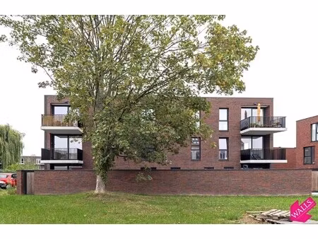 energiezuinig appartement met 2 slk  terras en p nabij boekenbergpark