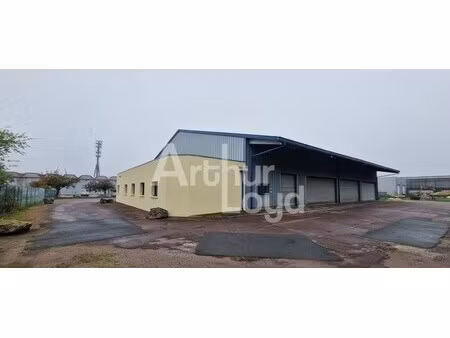 vente local d’activités soliers 14540 874m²