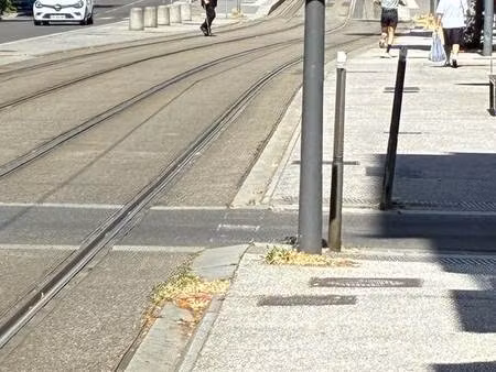 lyon 8e