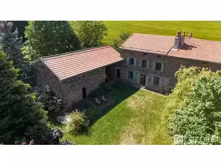 vente maison 6 pièces 248 m² à saint-jean-de-nay (43320)  339 000 €