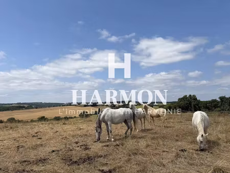 vente propriété 37000 m² à belmont (32190)  371 000 €