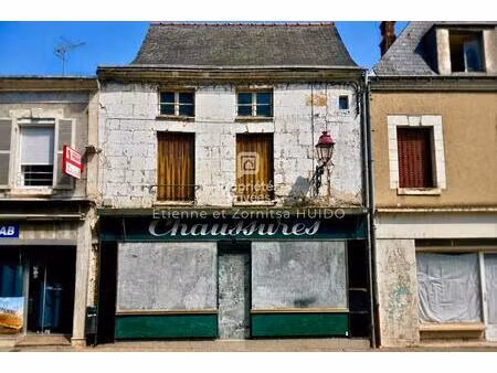 achat immeuble 152m² vatan 36150
