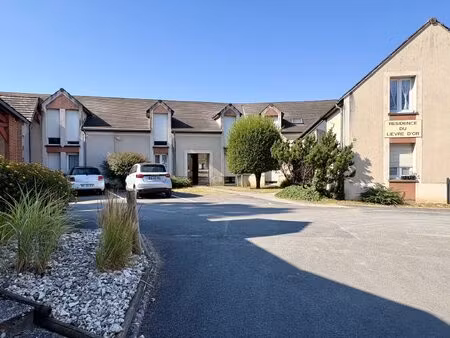 achat appartement 3 pièces 67m² chateauneuf sur loire 45110
