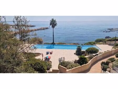 propriété avec piscine en bord de mer sari-solenzara (2a)