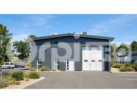 location entrepôt angresse 40150 180m²