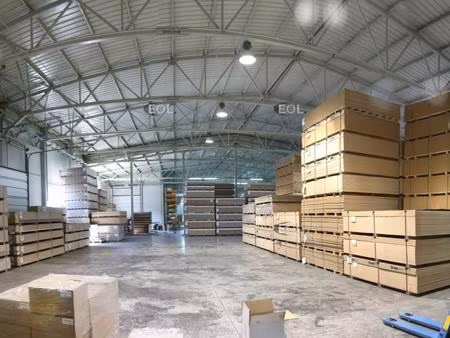 vente local d’activités collegien 77090 900m²