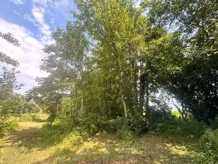 terrain en zone forestière de 2 ha 15 a 25 ca.