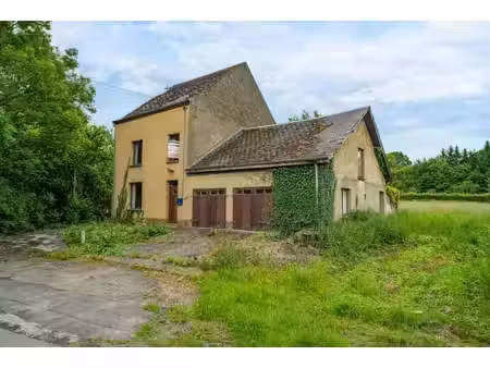 maison avec du potentiel + garages et 2333m² de terrain