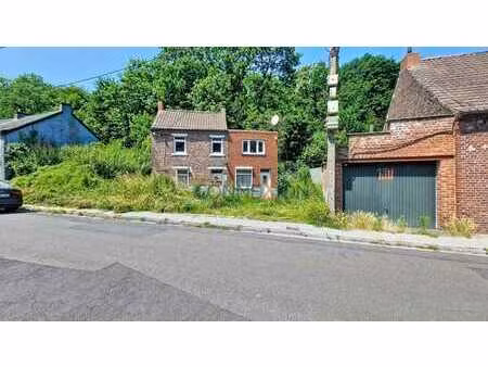 lot 2 petites maisons + garage