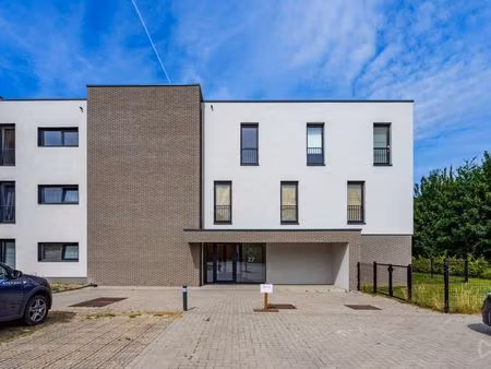 appartement à louer à hannut € 750 (lpqkb) - we invest hesbaye | zimmo