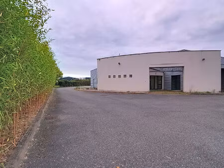 a vendre local d'activités / entrepôts 540m² za de l'espèche fontenilles (31470)
