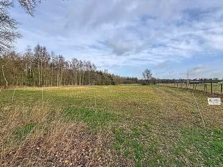 spacieux terrain agricole de 9 858 m² à vendre à gooreind