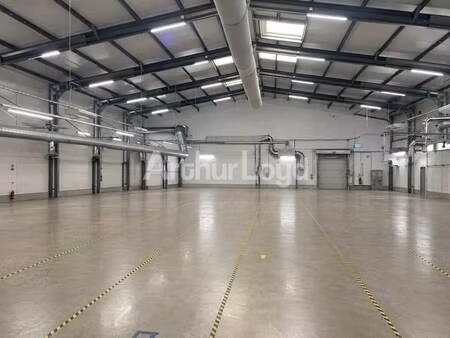 vente local d’activités rouvroy 62320 1075m²