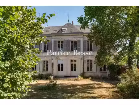 vente maison 10 pièces 466 m² à saint-fargeau (89170)  577 500 €