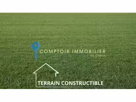 terrain constructible de 4282 m2 aleria