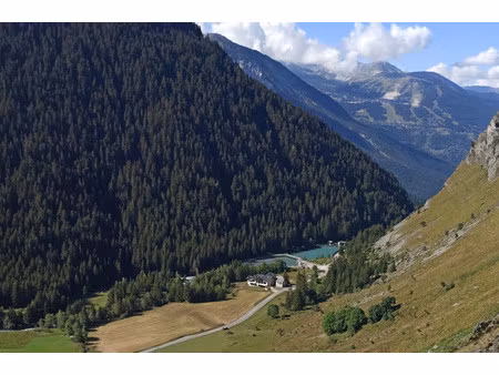 chalet à vendre à champagny-en-vanoise (73350) - savoie