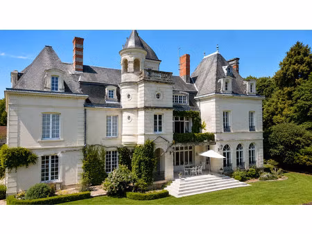 chateau à vendre à vaux-sur-vienne (86220) - vienne