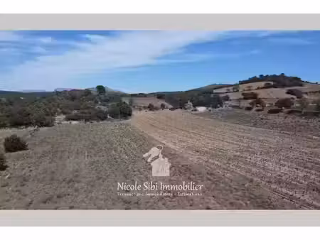 vente terrain 19998 m² à estagel (66310)  25 000 €