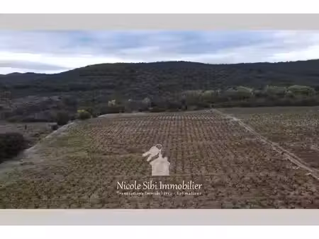 vente terrain 29300 m² à lansac (66720)  24 000 €