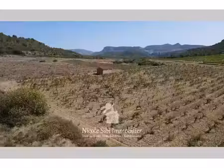 vente terrain 8710 m² à tautavel (66720)  28 500 €