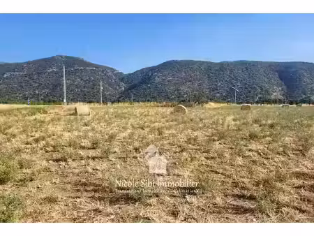 vente terrain 11821 m² à vinça (66320)  38 500 €