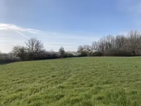 vente terrain 358 m² à buzet-sur-tarn (31660)  75 000 €