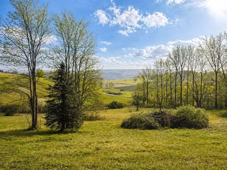 vente terrain 6000 m² à montagrier (24350)  80 000 €