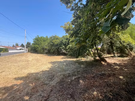 vente terrain 4 pièces  2222.00m²  vineuil