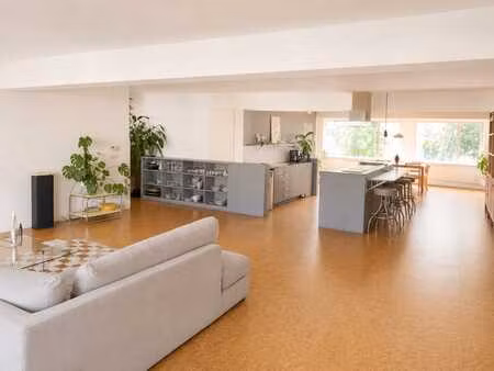 185 m² au cœur d'anvers. place de parking et terrasse inclus