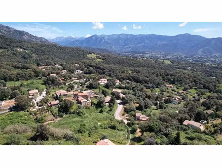 vente terrain à batir 1350 m² à valle-di-mezzana (20167)  103 000 €