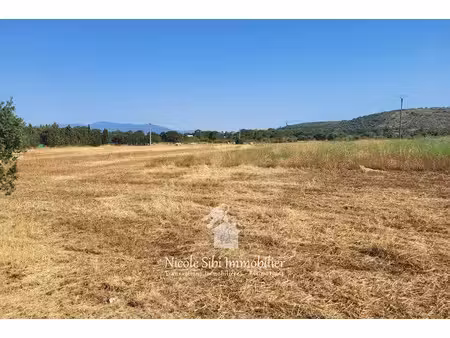 vente terrain 37468 m² à thuir (66300)  160 000 €