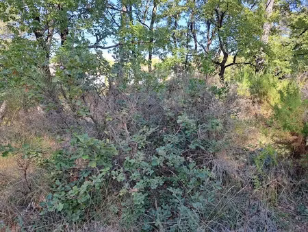 vente terrain 980 m² à gréasque (13850)  242 000 €
