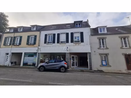 vente locaux professionnels 0 pièces 204 m² à crozon (29160)  199 006 €