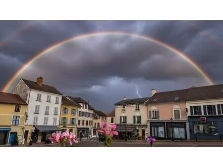 appartement à louer maule