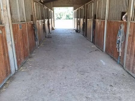 propriété équestre avec manège et 23 hectares
