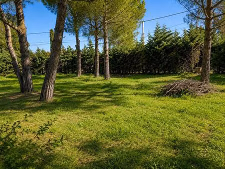 terrain constructible viabilisé à vendre