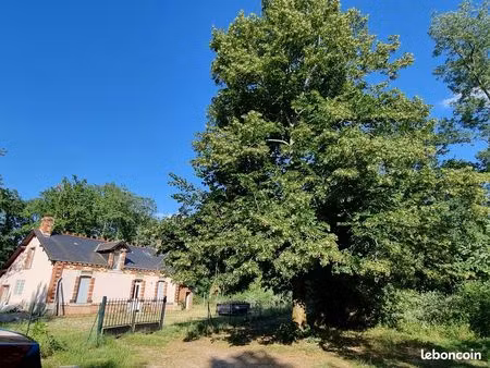 pruniers en sologne - maison : séjour + 3 chambres + bureau + terrain