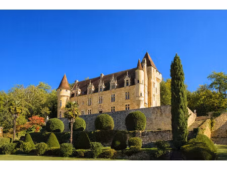chateau à vendre à carlux (24370) - dordogne