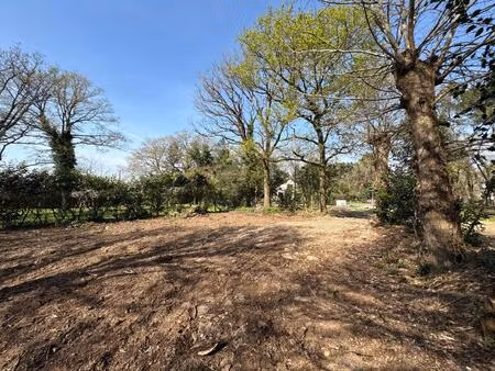 terrain de 1230m2 prêt à bâtir avec tout-à-l'égout