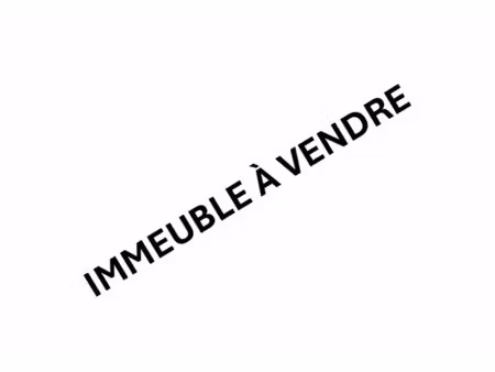 vente commerce epernay 51200 1500m²