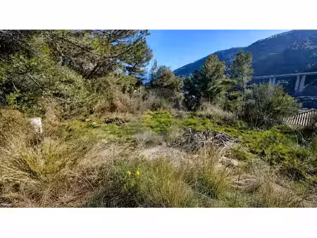 vente terrain constructible avec permis de construire à gorbio