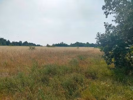 achat terrain 56 000m² ste eulalie 33560