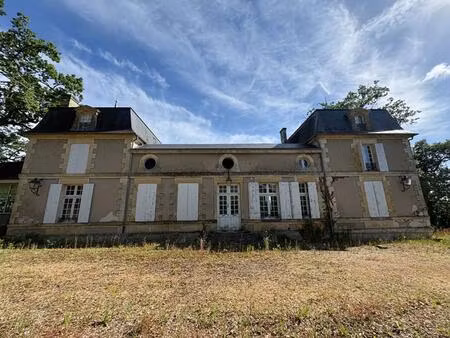 superbe chateau d'exception à rénover  vue panoramique sur la dordogne
