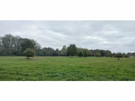 vente terrain 1756 m² ménesplet (24700)